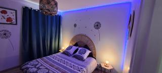 Agréable T2 Classé 3 étoiles, refait à neuf, dans quartier calme - 6