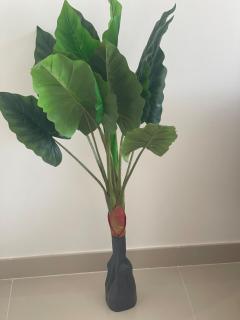 Vibrant gateway Studio in Uptown Zahia by Sharjah - 5