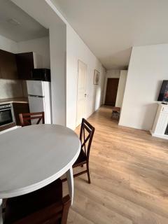 Full 2 Room Apartment in the heart of Kaunas - 3