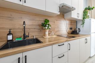 Modern coziness in the city center near the Arena & Botanical Garden - 6