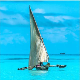 Nionje Garden Villa - Jambiani - 7