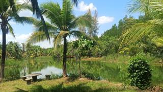 Lanta KS Garden - Ban Mo Nae - 5