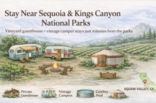 Fiona-Cozy Retro Camper by Sequoia & Kings Canyon - 8