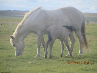 Mid-Sel mountain view lodge - 3