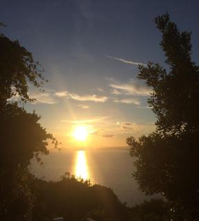 Les Terrasses Levantines - Île du Levant - 2