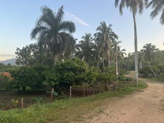 Villa Para Conectar Con La Naturaleza - 3