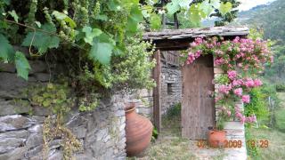 House Rodia - 8