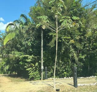 The Gathering Place - 6