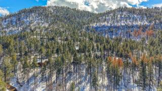 Cabin in Strawberry, Pine, Payson In the Pines - 1