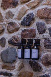 La Dama de los vientos - 6