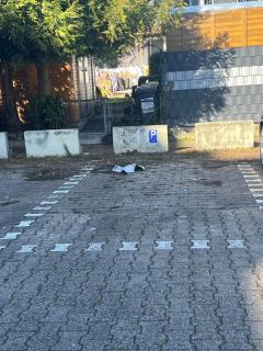 4 guest - FFM - Germany - 7