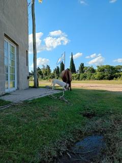 Tu Lugar Cómodo para Descansar - 0