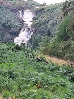 The Annexe - Idyllic and tranquil rural location - 5