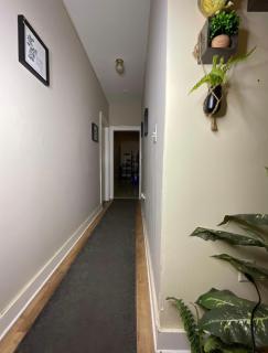 Vibrant home all to yourself - 9
