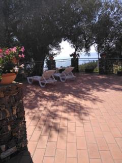 AGRITURISMO La FOCAZZA - 3