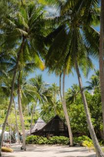 Vahine Private Island - 7