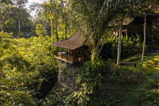 The Jungle Villa - Ubud - 9
