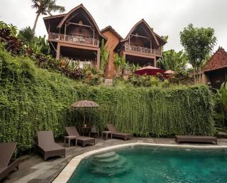 The Jungle Villa - Ubud - 3
