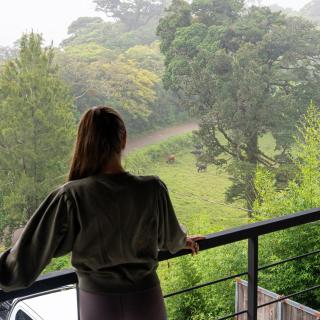 Bosca Monteverde, Luxury in the Cloud Fores - 6