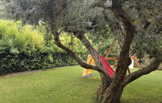 Beautiful Apartment In Ricadi With Swimming Pool - 6