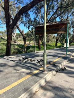 Napfény Apartman - 8