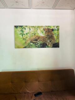 The Homestay - Alawala - 7