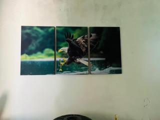 The Homestay - Alawala - 5