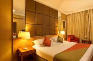 Ellaa Hotel Gachibowli - Hyderabad - 6