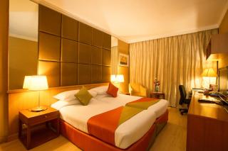 Ellaa Hotel Gachibowli - 8