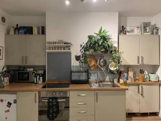 Entire Apartment in Montpelier - 2