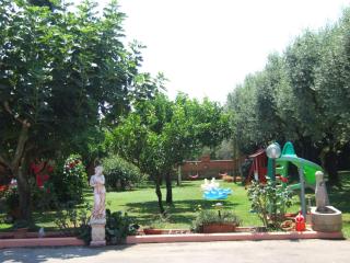 Agriturismo IL PORTICO - 2