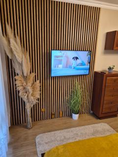 Jókai Apartman Szarvas - Szarvas - 4