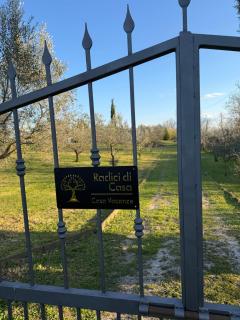 Radici di Casa - Casa Vacanza vista lago - 8