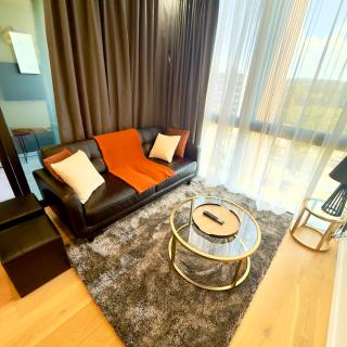 Luxury Sky-High Apartment, Panoramic Views, Walk to Dining & Light Rail, Free Parking - 9