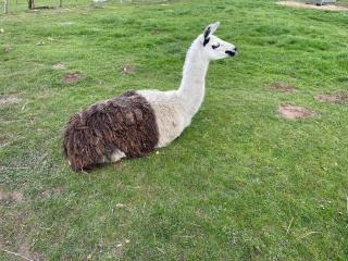 Gîte de la Nolière - 6