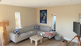 Tulipa Keukenkof - 4