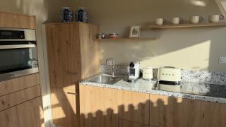 Tulipa Keukenkof - 8