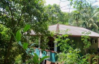 The Forest villa - 3