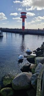 OstseeNo8 Eckernförde - Eckernförde - 5