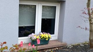 Au chemin des vignes - Bergheim - 9