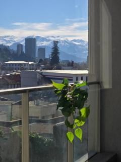 Acogedor y tranquilo departamento - Santiago - 7