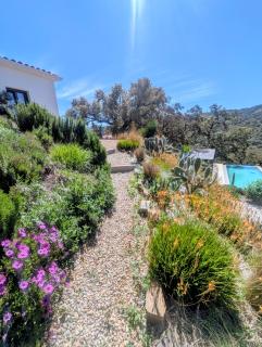 Finca Bravo - 1