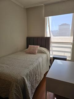 Providencia central y acogedor departamento 2 dorm Wifi y parking gratis - 3