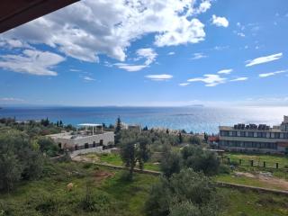 Yard Paradise Rooms - 3