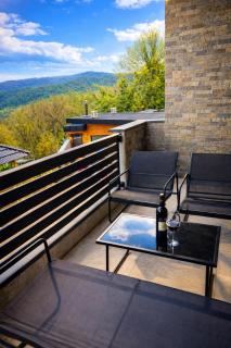 Golden Panorama Apartment & Spa - 4