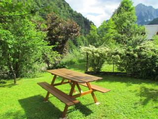 Joe`s Place, House in the Triglav National Park - 9