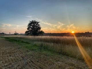 A short break on Germany's largest island - 1