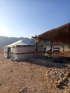 Eden Camp Abu Galum - 2