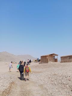 Eden Camp Abu Galum - 1