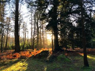 Quayside Cottage Lymington - 5